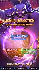 33l · Genies Wishes